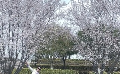 李宗瑞迅雷下载地址